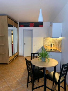 Old Town Loft